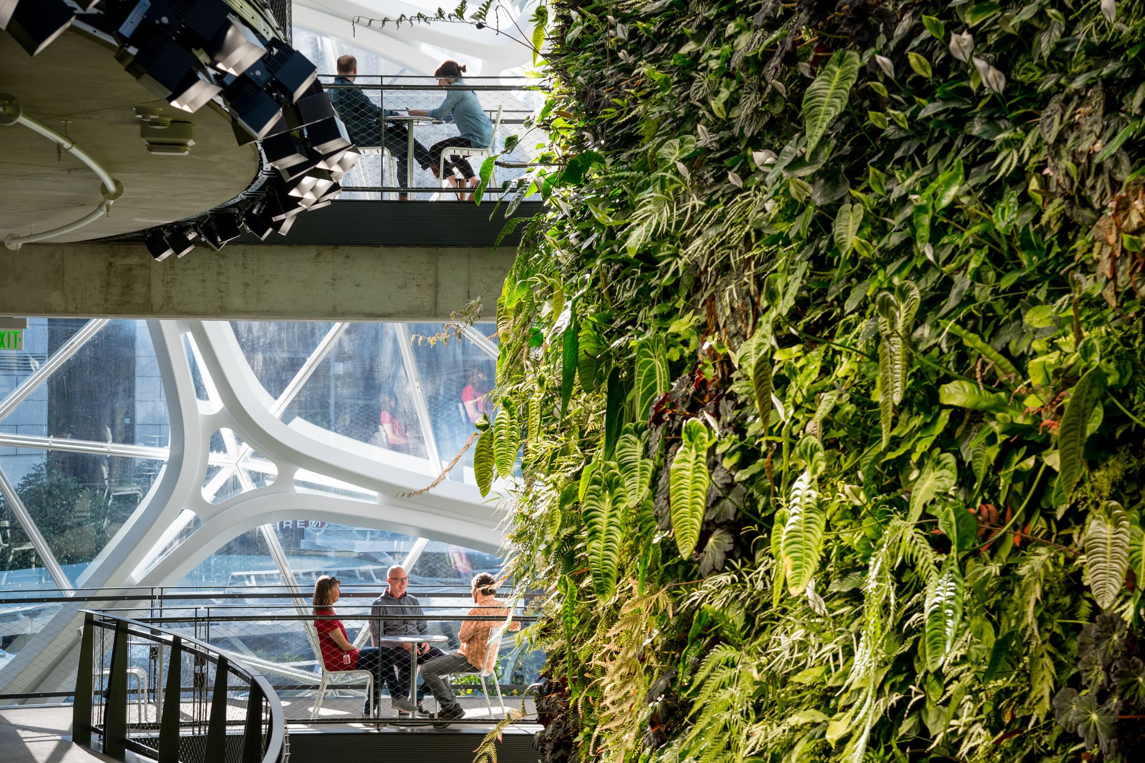 Amazon Spheres, Seattle, WA
