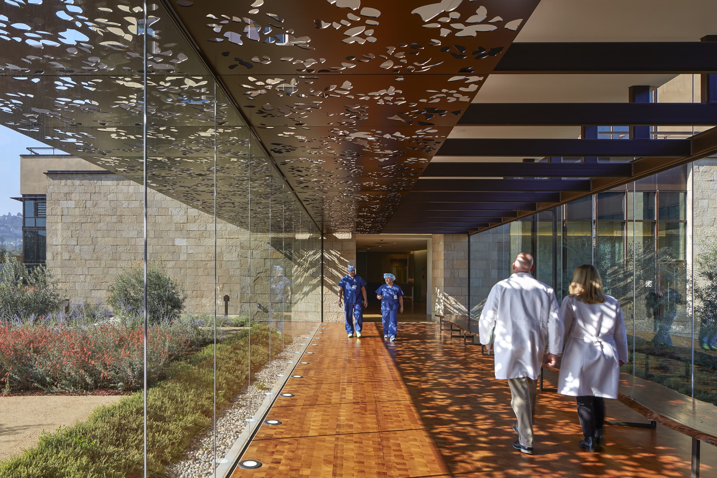 An enclosed walkway connects the main lobby and clinical lobbies. A custom-cut canopy provides an ever-changing pattern of dappled light throughout the day, evoking a walk through nature.