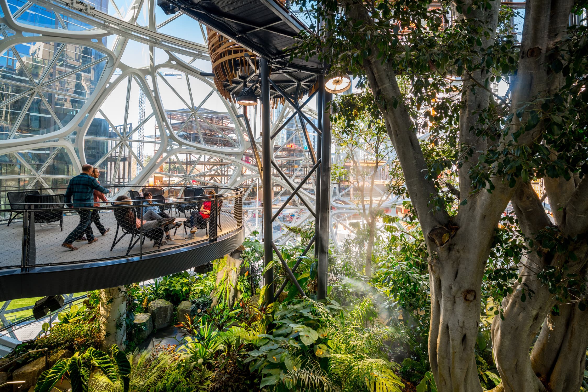 Amazon Spheres, Seattle, WA